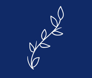 Screenshot 2023-08-29 at 14.31.34